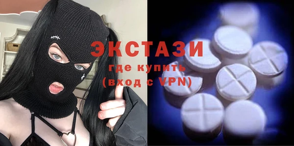 индика Коряжма