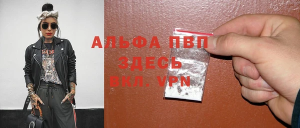 индика Коряжма