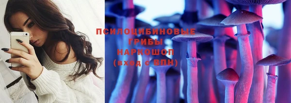 СК Корсаков
