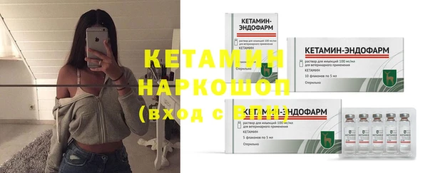 индика Коряжма