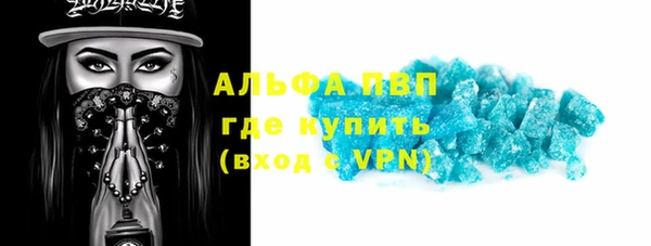 индика Коряжма