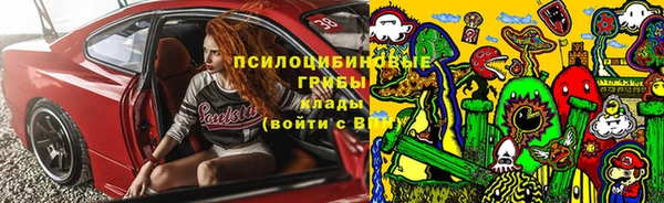 СК Корсаков