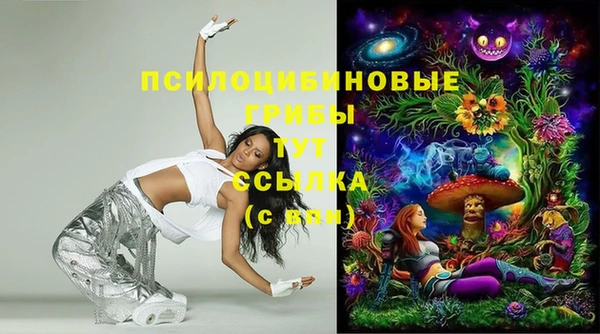индика Коряжма