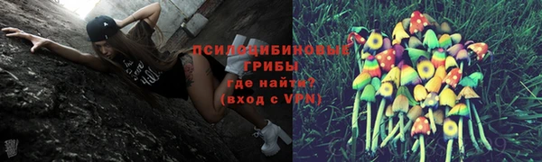 индика Коряжма