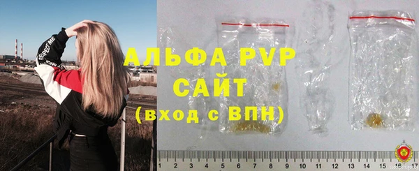 СК Корсаков