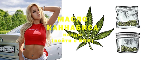индика Коряжма