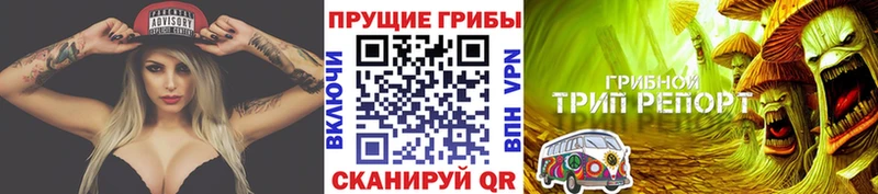 Купить закладки  Рузаевка  Псилоцибиновые грибы ЛСД 